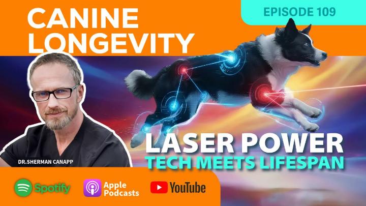 Thumbnail image for Canine Longevity - Laser Power-Tech Meets Lifespan