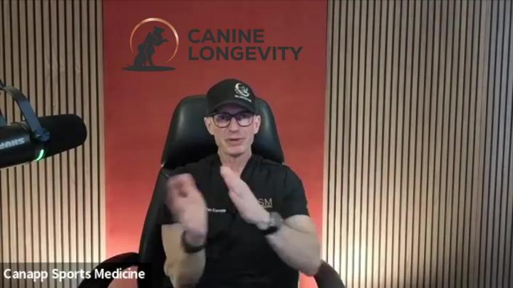 Thumbnail image for Canine Longevity -