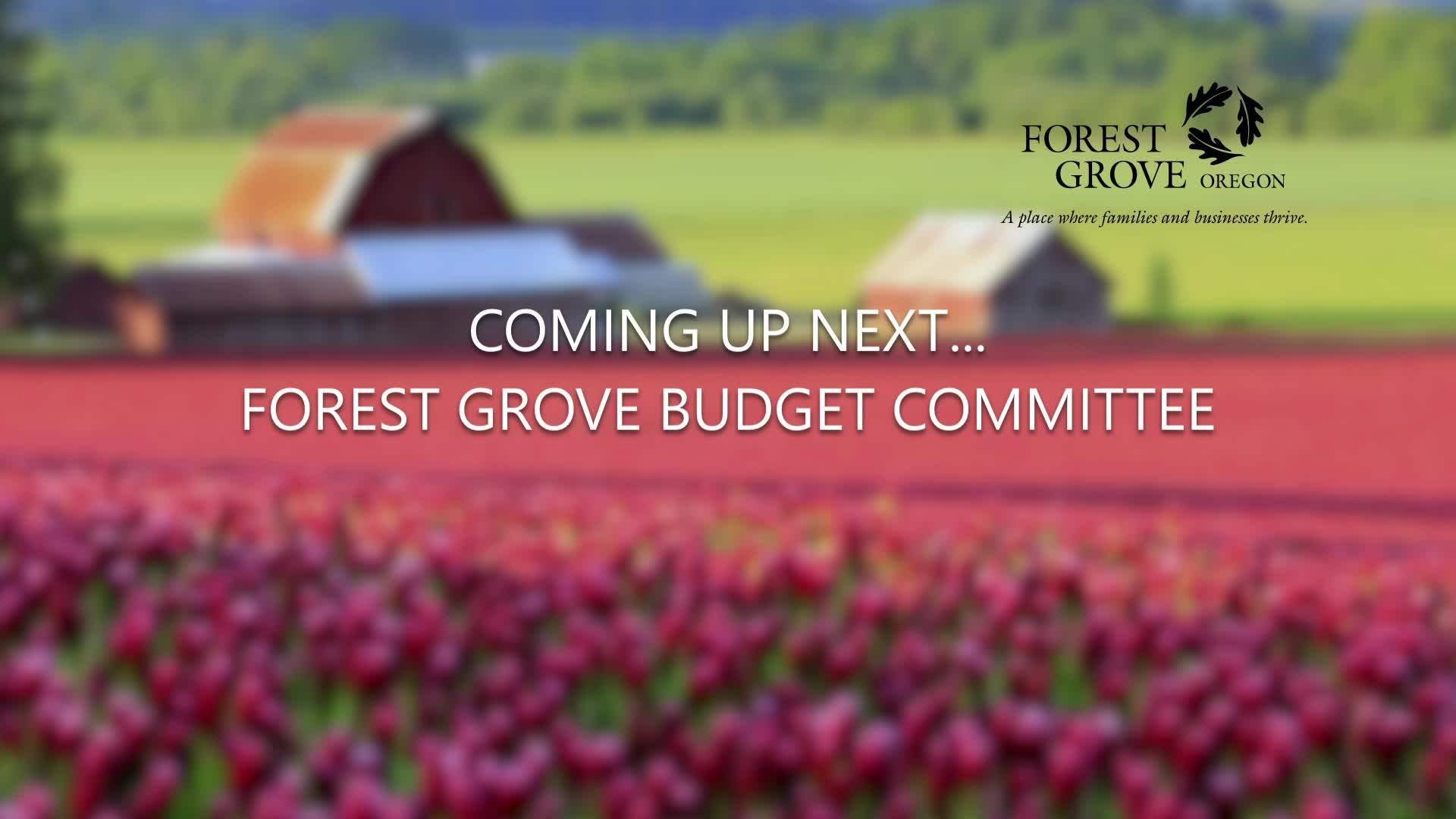 Thumbnail image for November 16, 2021 Forest Grove Budget Committee Meeting