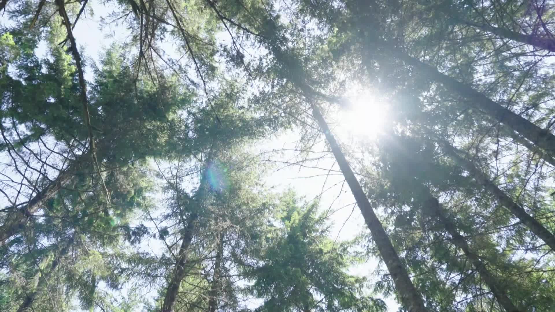 Thumbnail image for Go Outside! Chehalem Ridge Nature Park