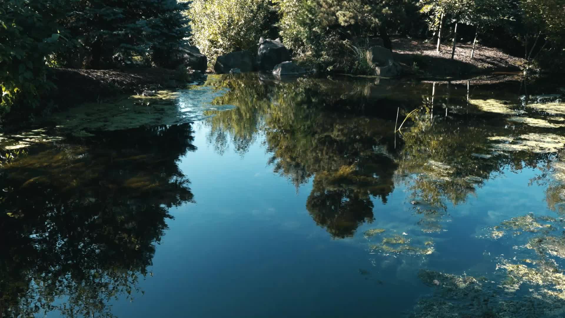 Go Outside! Fernhill Wetlands