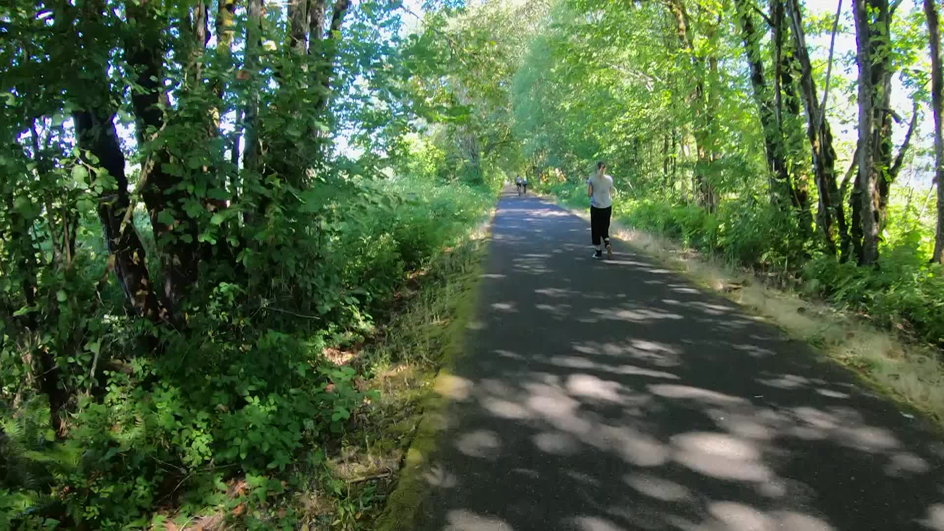 Go Outside! Banks Vernonia State Trail