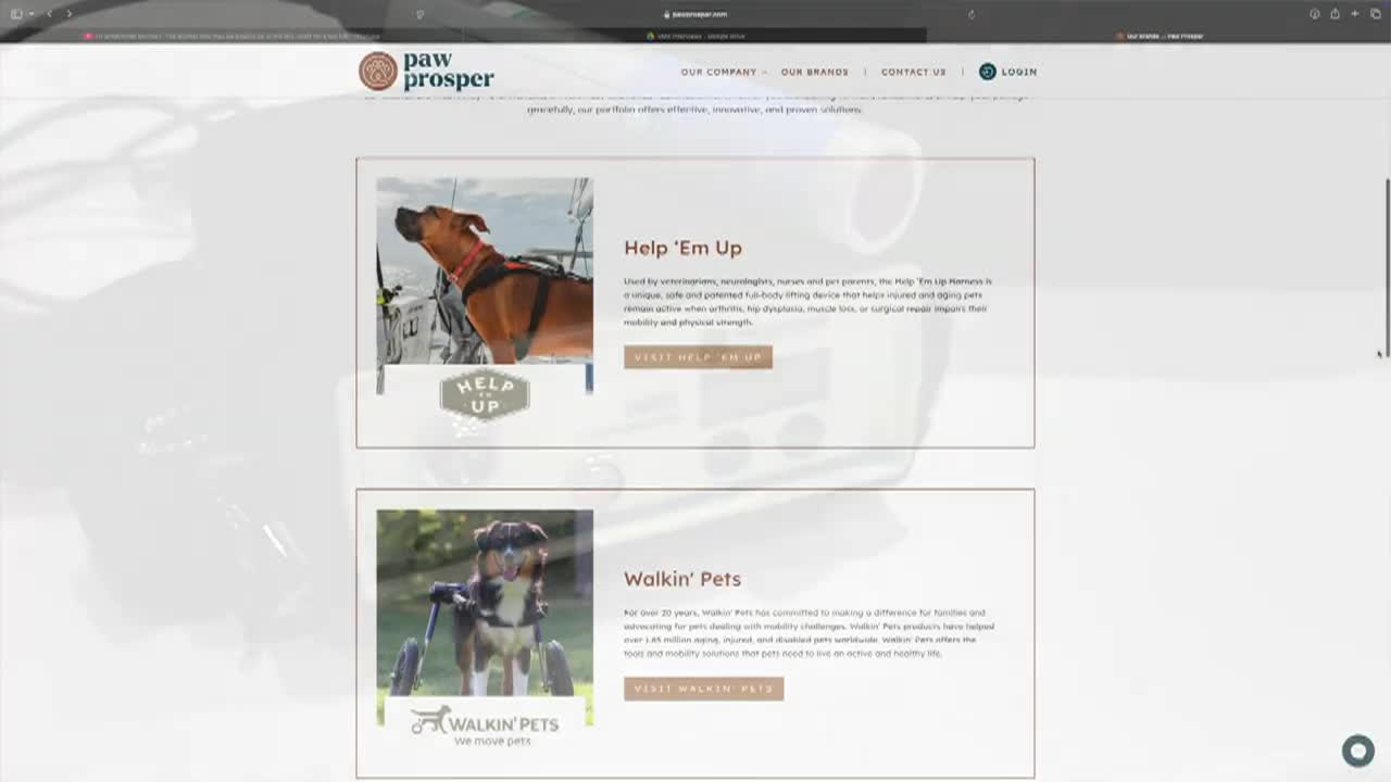 Canine Longevity - Motion Is Medicine