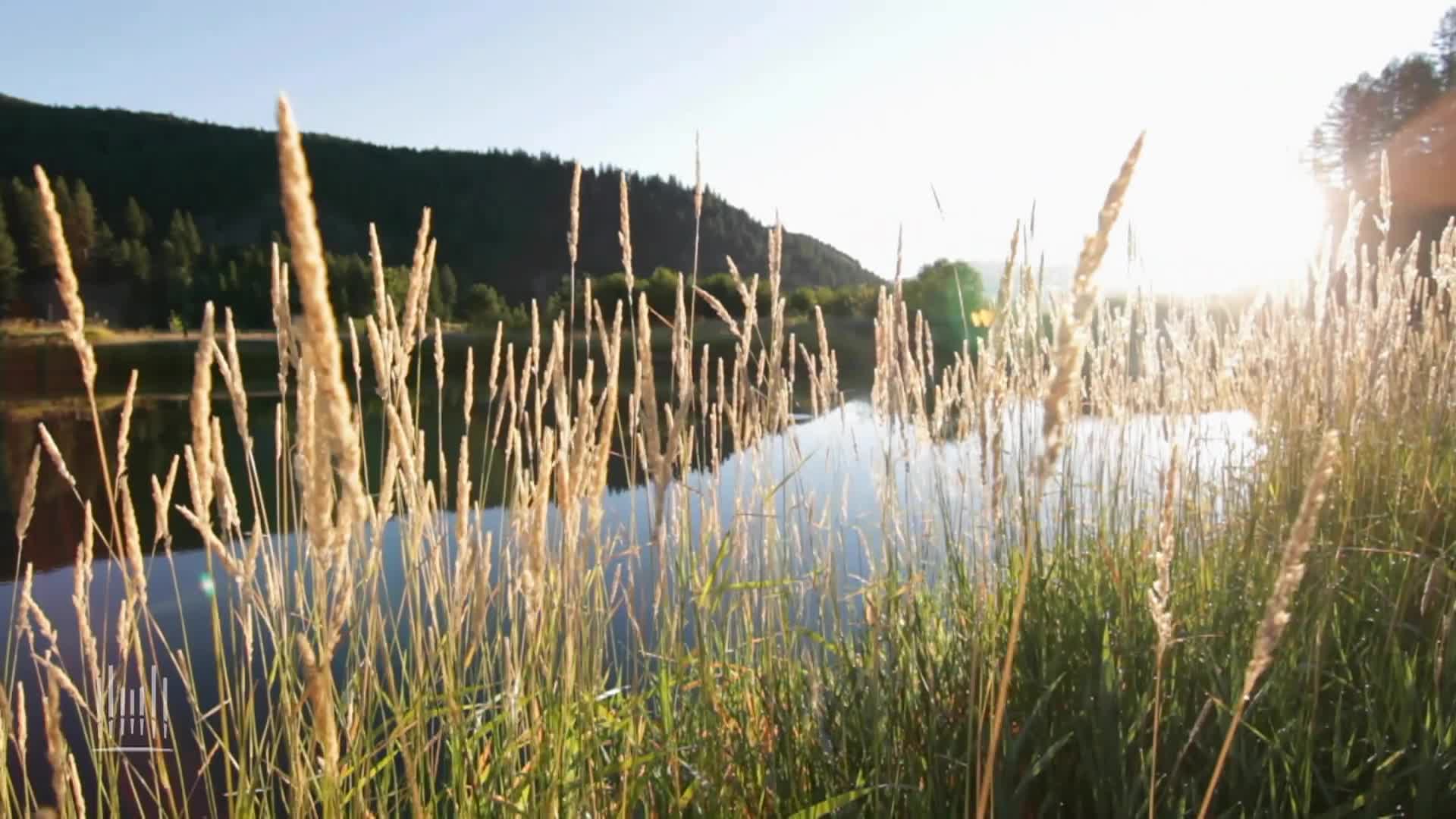 Music & The Spoken Word