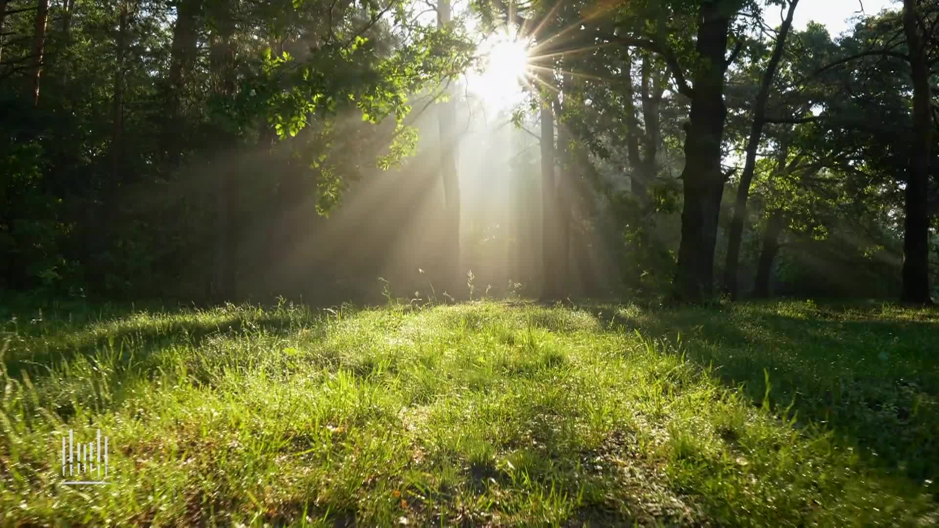 Musica & Palabras De Inspiracion