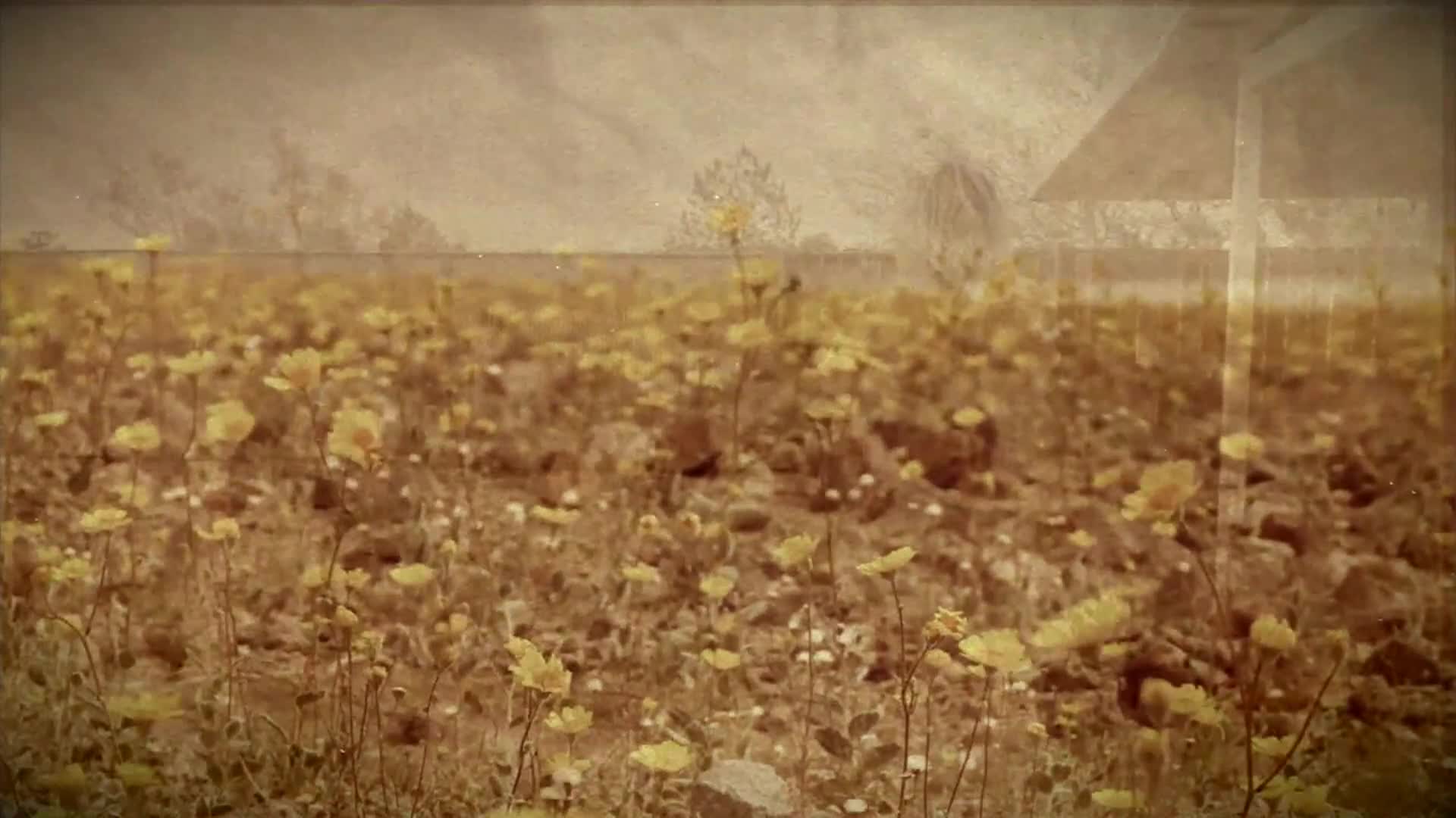 Sidewalks Entertainment