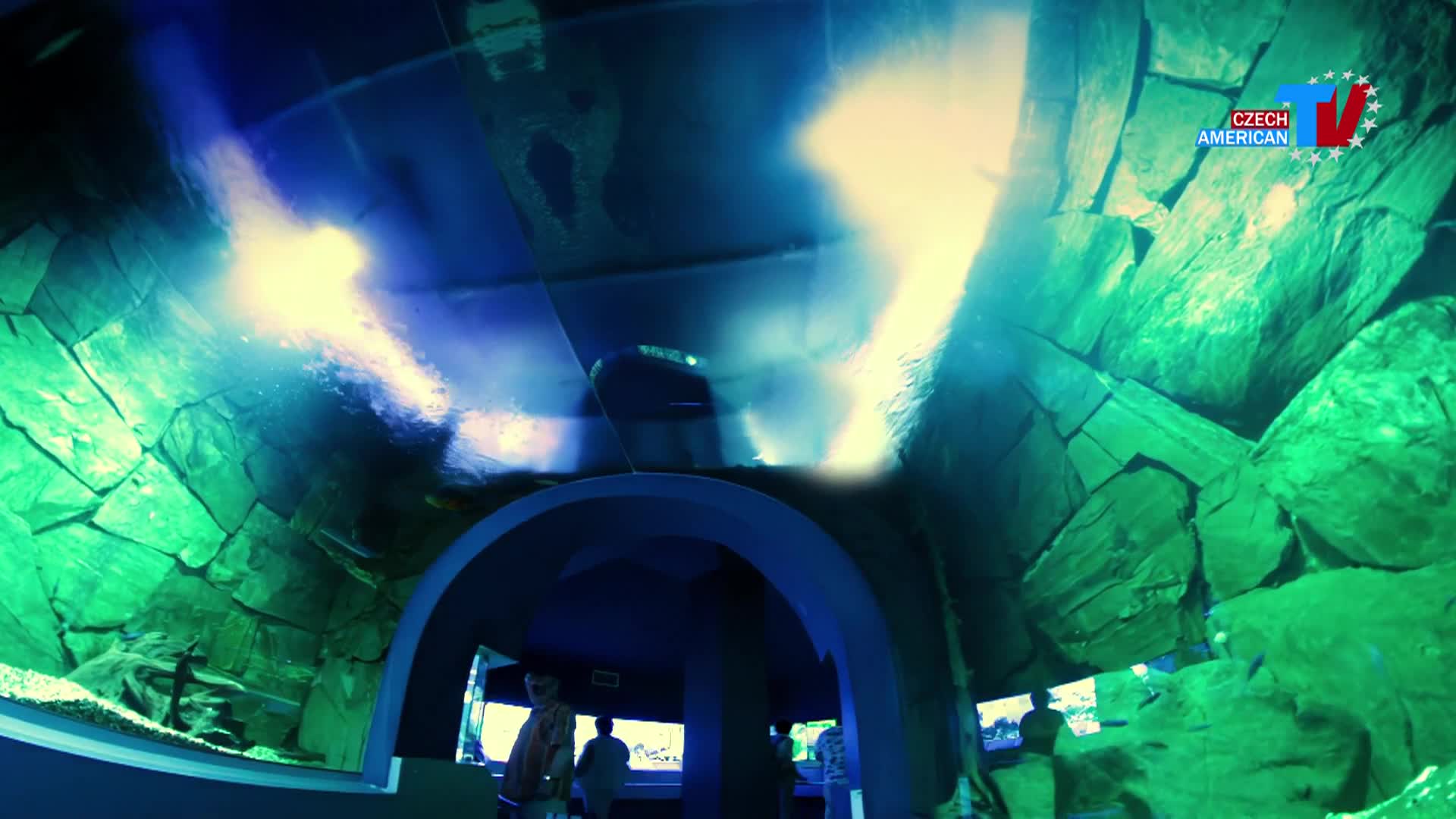 Czech-American TV
